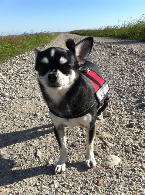 Der Weg ist das Ziel