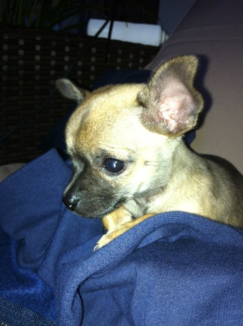 Findet ihr mich süß?