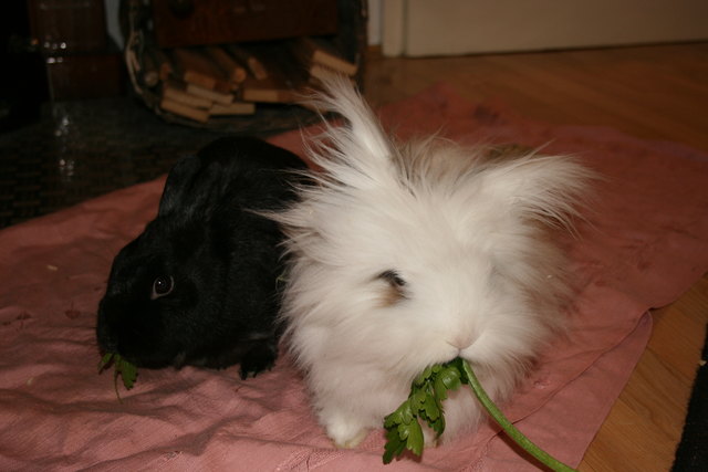 Immer gierig knabbern