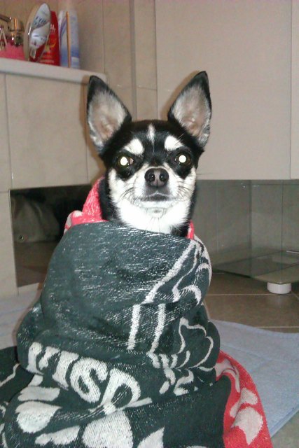 Baden muss auch manchmal sein...