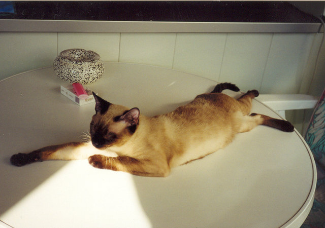 Die ersten Sonnenstrahlen muss man genießen!