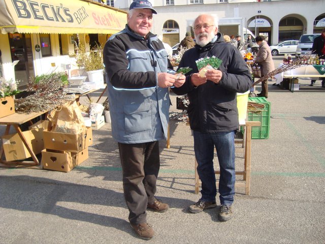 Walter Kutrowatz wird die neue Gemüsesorte noch dieses Wochenende vorziehen.