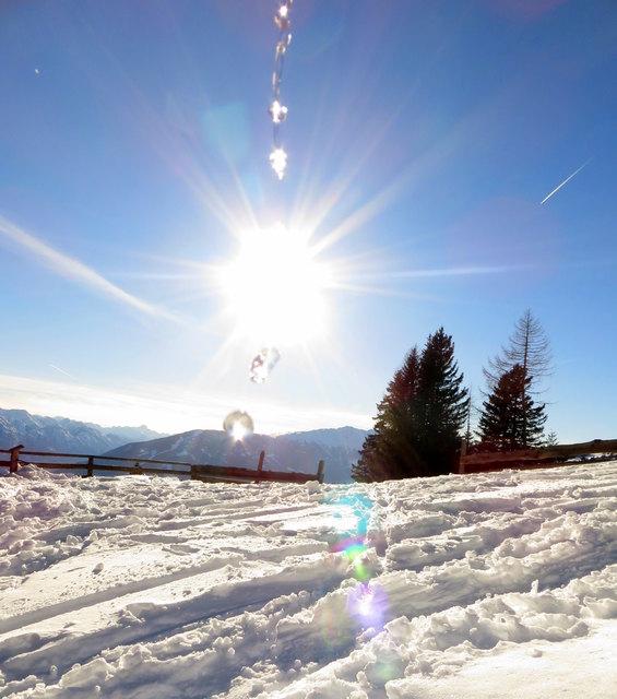 oder nur eine kleine Erfrischung für die heiße Sonne