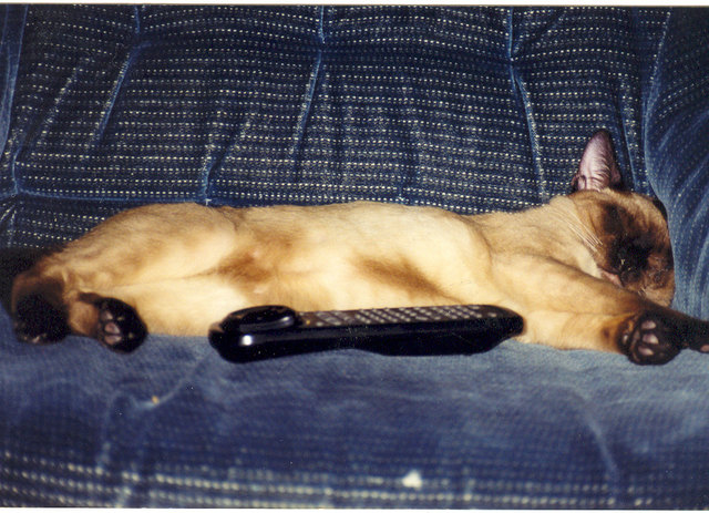 Fernschaun macht müde