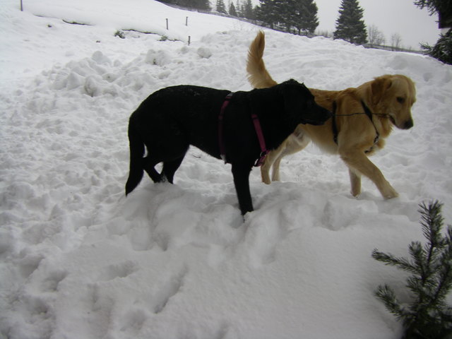 Unsere 2 Lieblinge. Wir haben euch lieb.