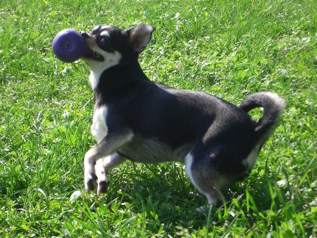 Ich hab ihn gefangen!!!