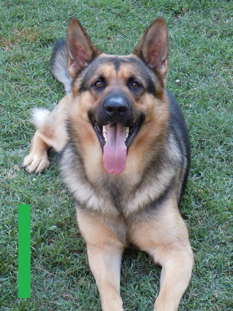 Ecco, immer zum spielen aufgelegt!