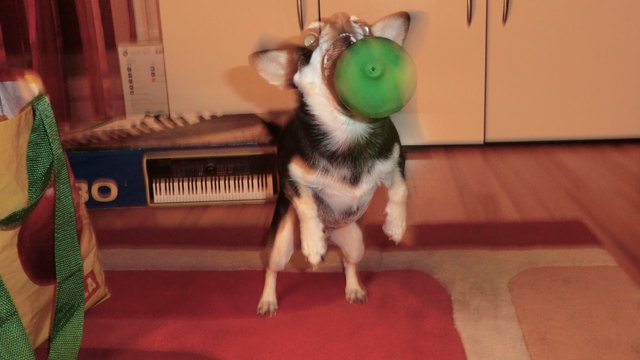 "Du entkommst mir nicht!"