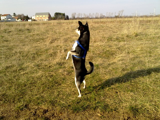 Hat ein bisschen was von einer Sonnenuhr