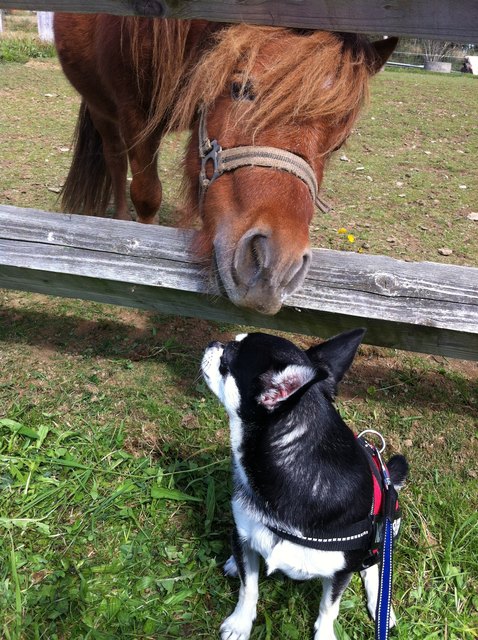 Es war Liebe auf den ersten Blick!