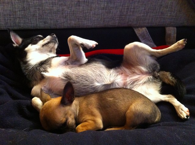 ...und schon wieder schlafen!