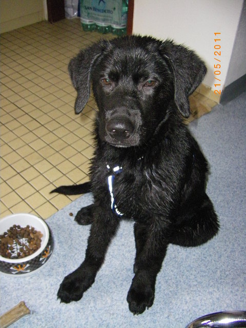 Mein allerliebster Schatz! Habe dich zum knuddeln lieb.