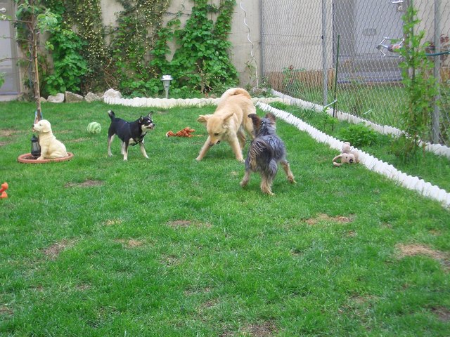 "Schluss jetzt mit streiten!!"