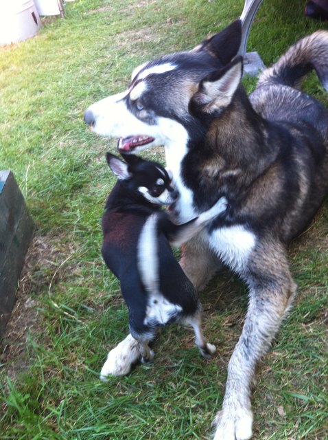 eine Umarmung und jetzt haben wir uns wieder vertragen!