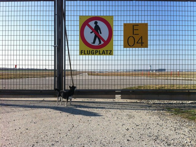 "Menschen verboten" - gilt das auch für Chihuahuas?!