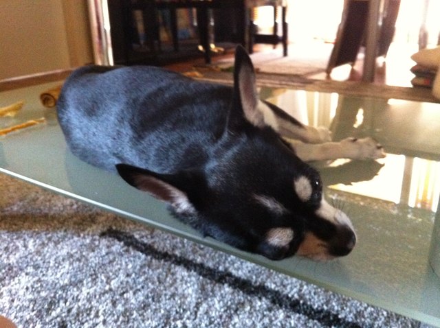 am Tisch liegt man höher