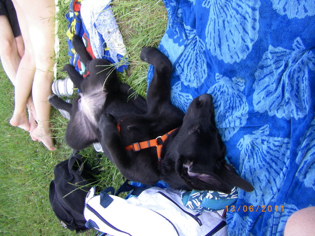 Ja so ein Sonnenbad ist schon was feines.