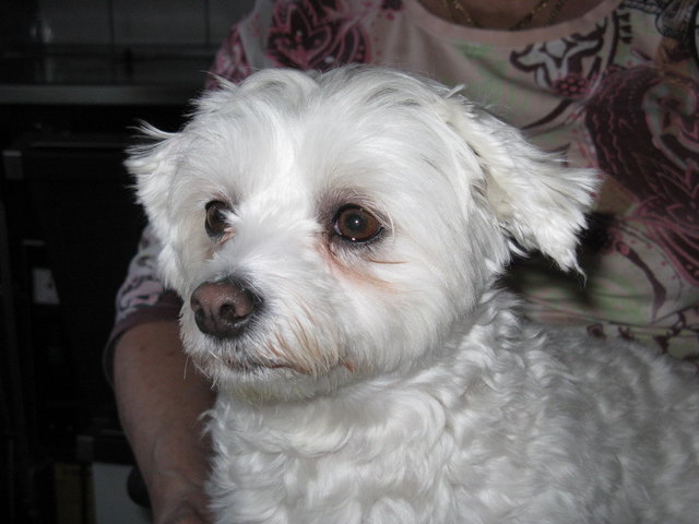 Mädi ... ist eine ganz Süße.