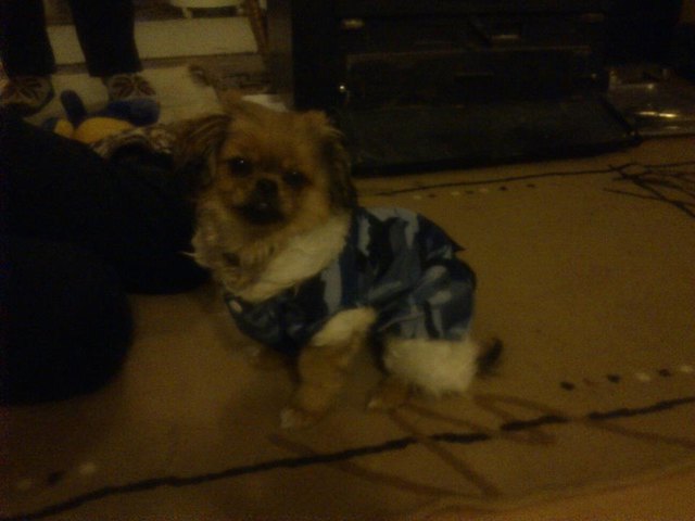 Caki war bereit , im Schnee zu spielen