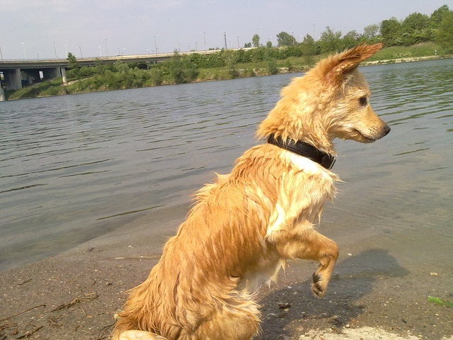 Ich fang den Fisch!!