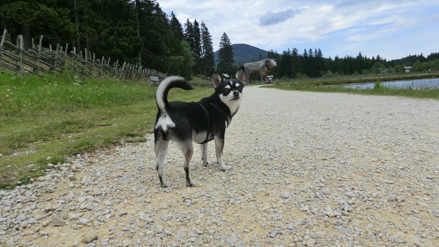 Gehts dann bald weiter...?