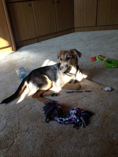 sonnen, sonnen, sonnen!