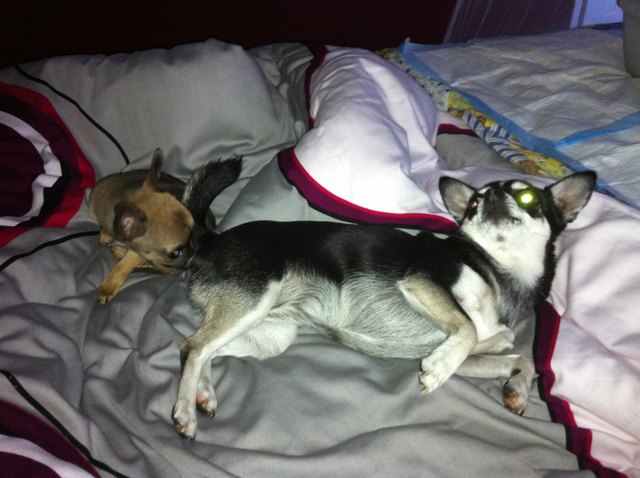 so riecht also dein Buh