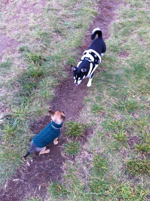 "Du kriegst mich nicht :-P"