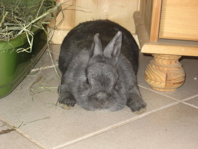 wann darf ich endlich in den Garten?