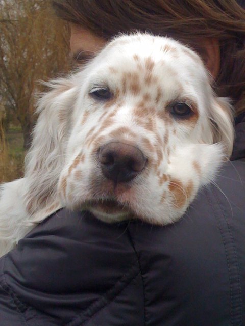 wenn ich nicht soooo müde wäre...