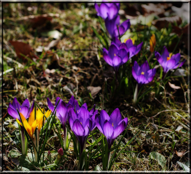 20. März 2013
