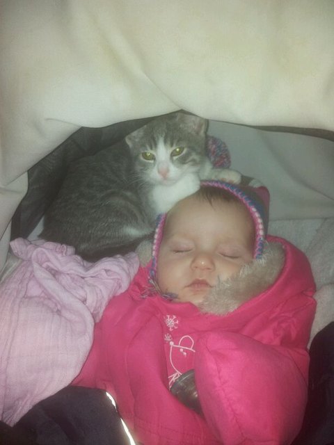 bonny kuschelt mit samantha