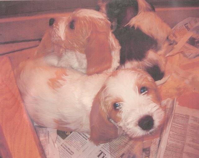 Loui, Kindertage eines Verführers