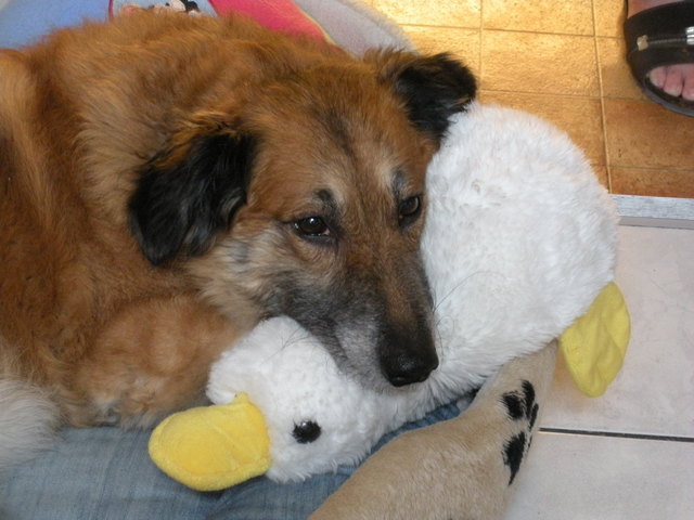 Nach den Spaziergang ist einmal Ruhe