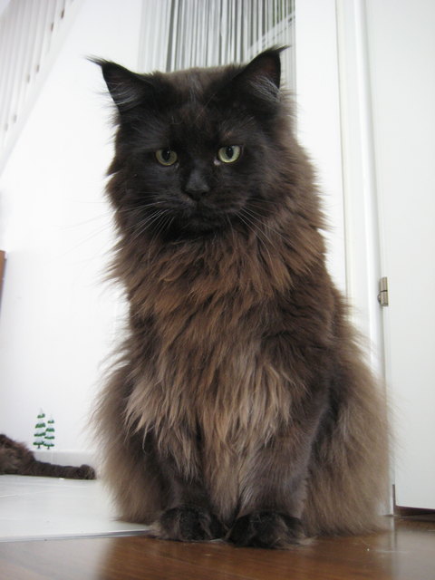 ...unwiderstehlicher Blick von "Confetti"