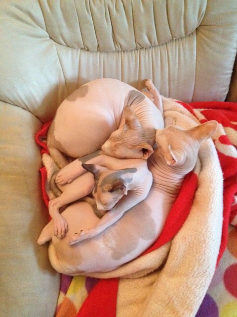 Die kleinste muss natürlich immer mittendrin sein....