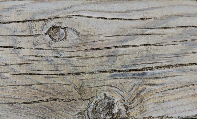 Ein Ausschnitt von einer Holzbank