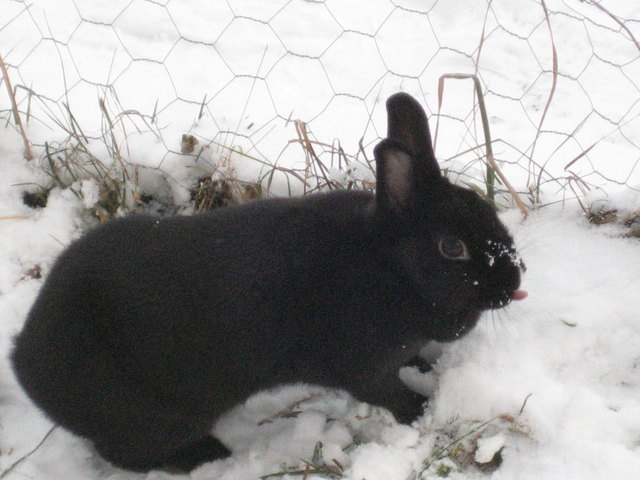 Schnee schmeckt gut!