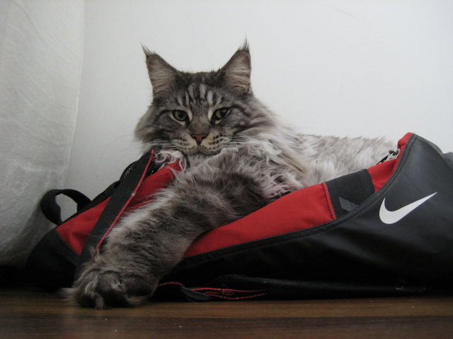 Ohne Sport geht es auch !!!