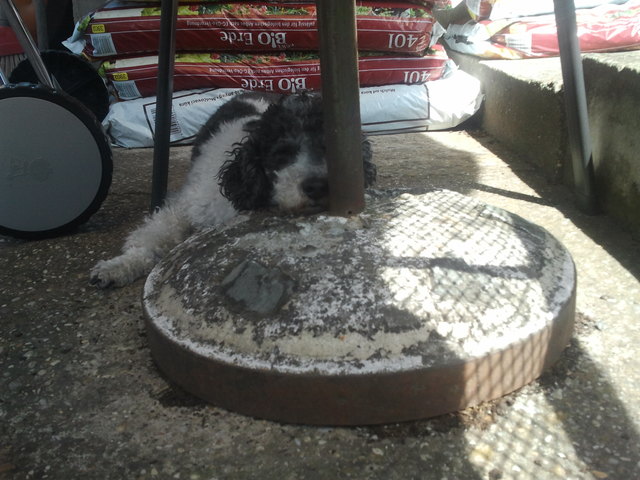 Eine kurze Erholung im Schatten