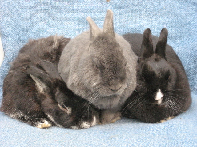 meine Freundin, mein Freund & ich