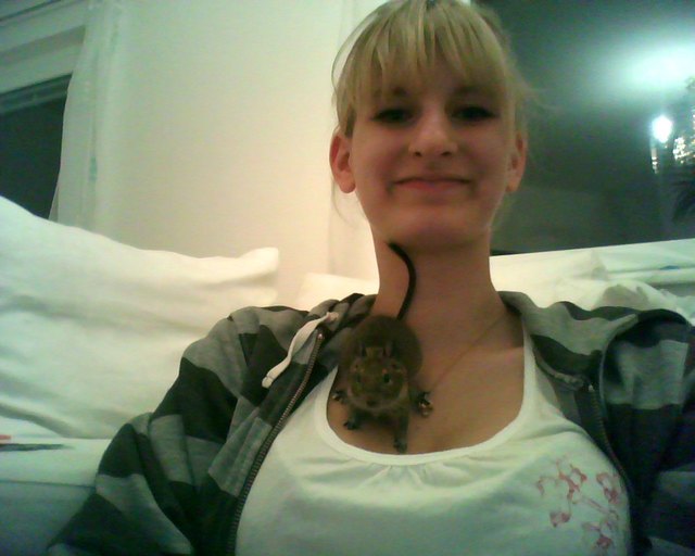 Octodon Julio nascht einfach an allem, von der Fernbedienung bis zum Türstock wird alles verkostet