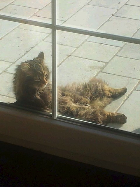 Da lass' ich mir die Sonne auf den Bauch scheinen