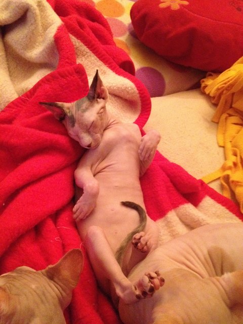 OH Gott - Bin ich cool....