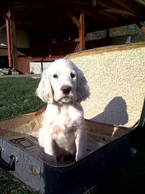 na....wann gehts denn los ?