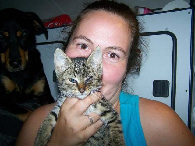 Unser Fund-Kater Finn - nur 500g schwer, ca. 6 Wochen alt, mit verklebtem Auge, Katzenschnupfen, Flöhen und Läusen