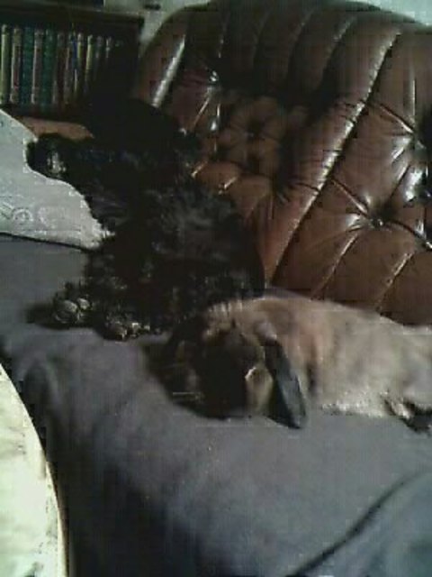 ein Herz und eune Seele  die 2