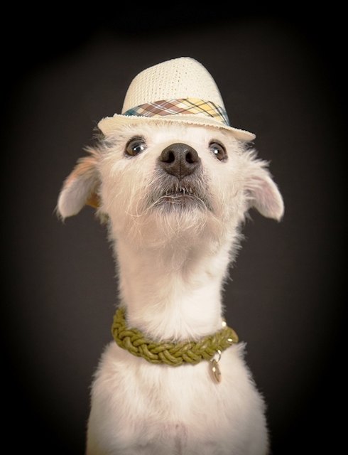 fertig für den Auftritt, Bühne frei für Adele :)