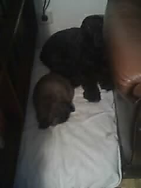 Zwei ganz dicke Freunde