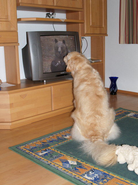 Hey, endlich mal interessantes Fernsehprogramm